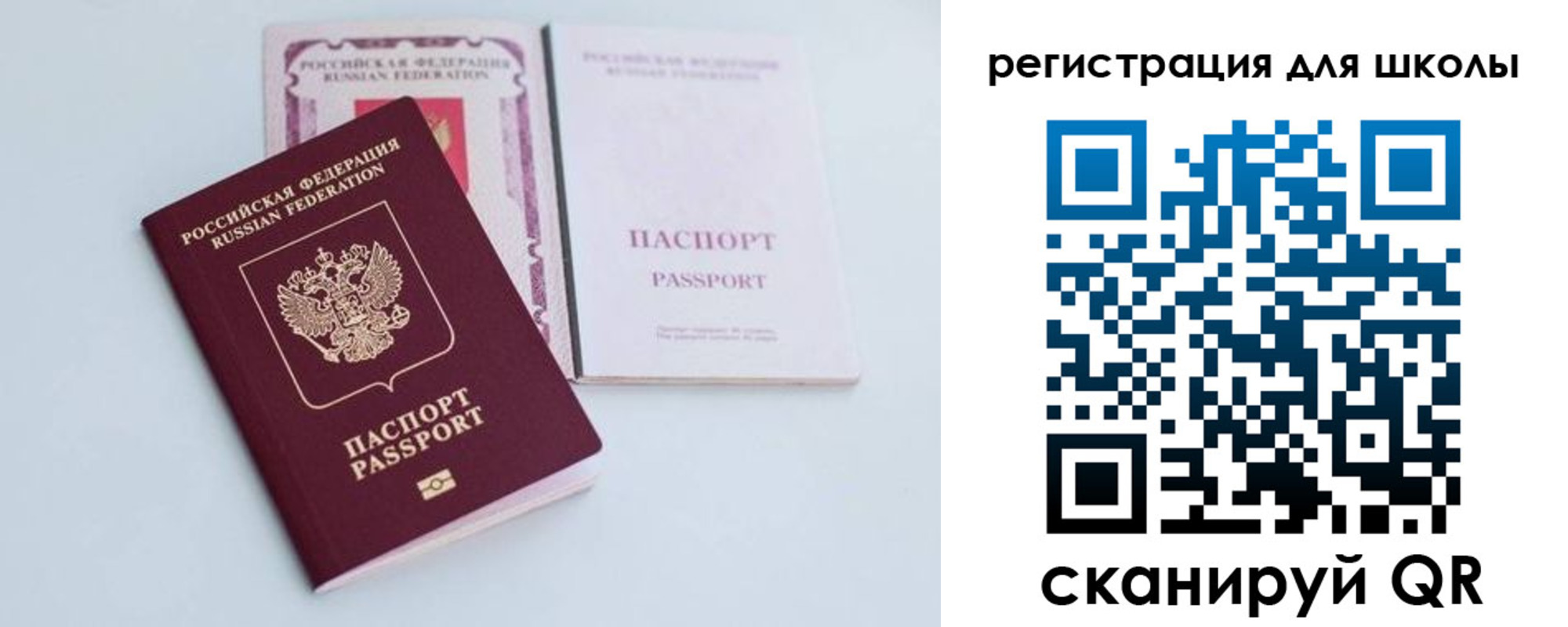 прописка гарантия в Луге